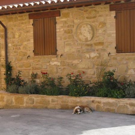 Pietra Maula Agriturismo Castelraimondo ภายนอก รูปภาพ