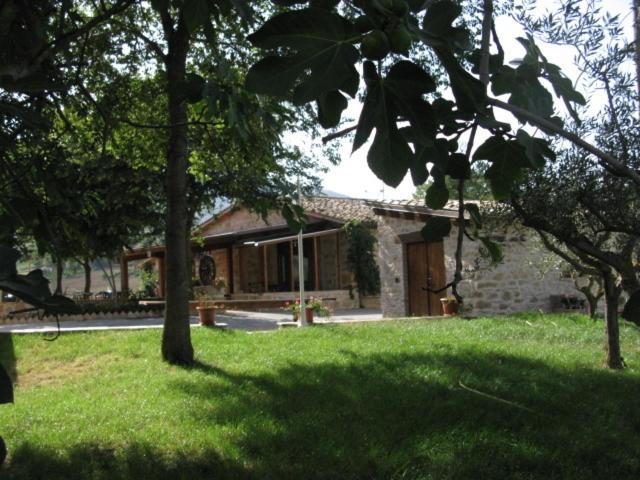 Pietra Maula Agriturismo Castelraimondo ภายนอก รูปภาพ