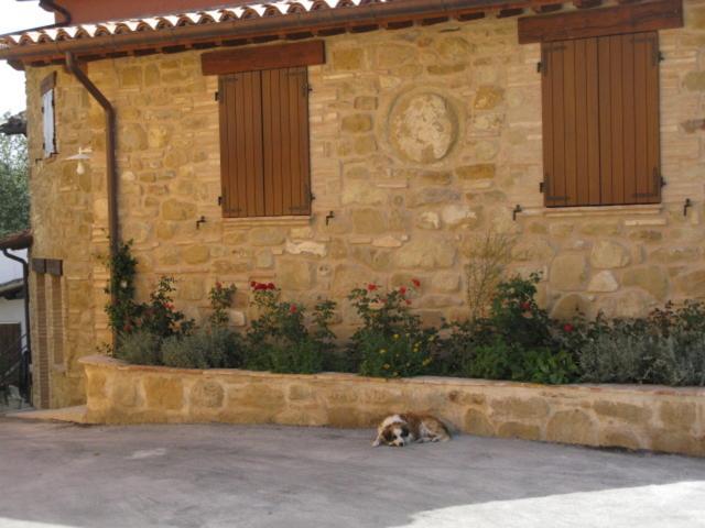 Pietra Maula Agriturismo Castelraimondo ภายนอก รูปภาพ