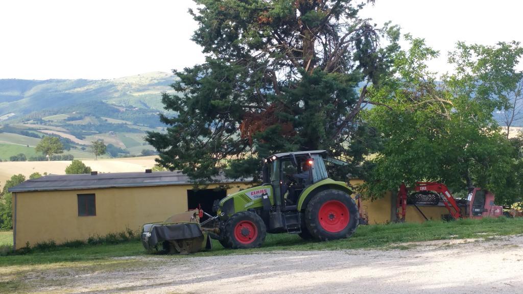 Pietra Maula Agriturismo Castelraimondo ภายนอก รูปภาพ