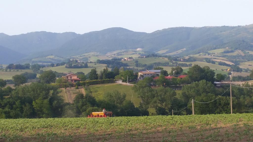 Pietra Maula Agriturismo Castelraimondo ภายนอก รูปภาพ