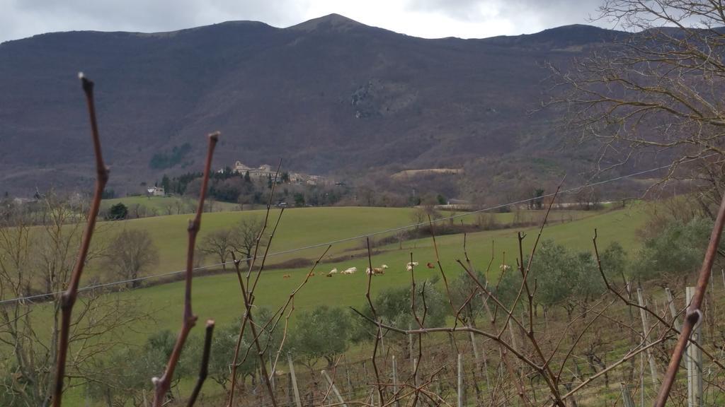 Pietra Maula Agriturismo Castelraimondo ภายนอก รูปภาพ
