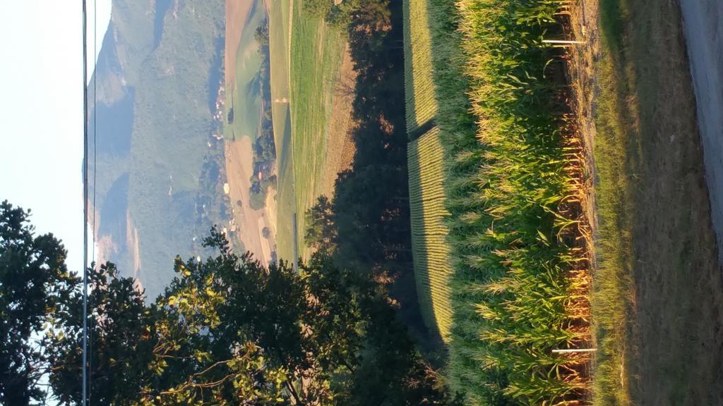 Pietra Maula Agriturismo Castelraimondo ภายนอก รูปภาพ