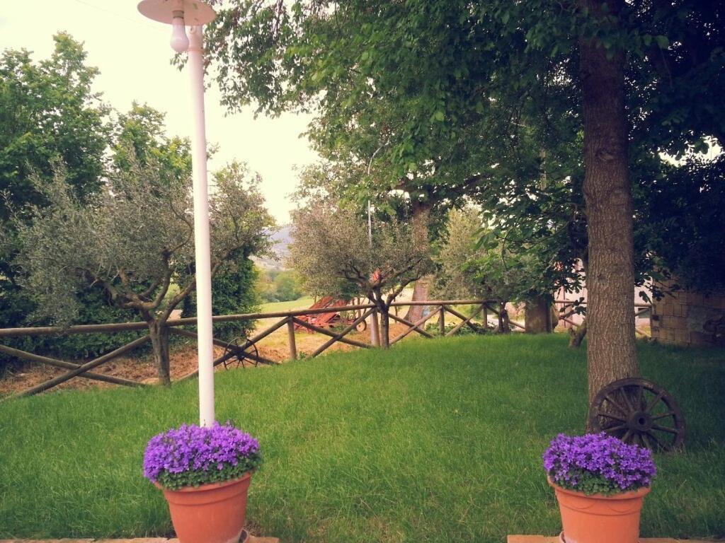 Pietra Maula Agriturismo Castelraimondo ภายนอก รูปภาพ